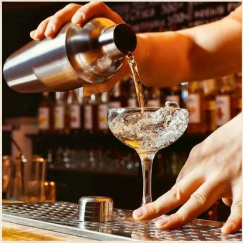 Comprar Coctelera en Electroshopy - Ángulo 2